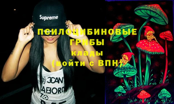 spice Лабытнанги