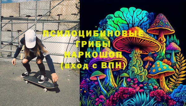 гидропоника Ладушкин