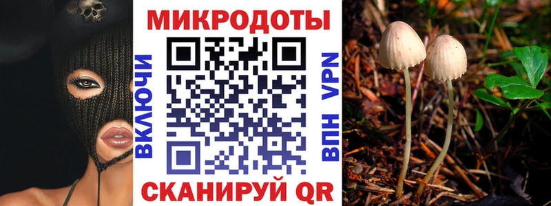 Купить где  Питкяранта  Галлюциногенные грибы мицелий 
